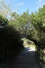path to the beach
