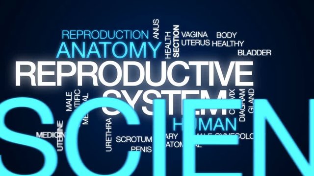 Reproductive system animated word cloud, text design animation.