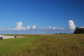 Obraz premium Grassy beach