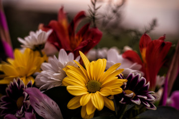 Chrysanthemum bouquet