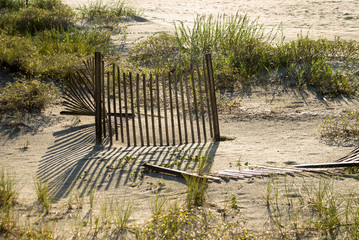 Sand Fence, - 164088647