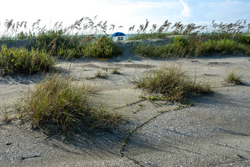Beach Dunes with Blue Umbrella - 164088831