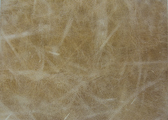Obraz premium brown leather texture background