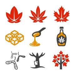 maple and maple syrup icon