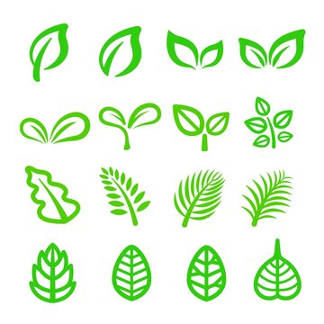 Leaf Line Icon