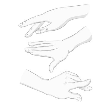 An illustration of a wrist for jewelry sketches.