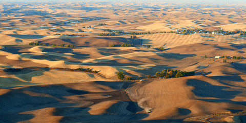Golden harvest during sunrise aerial panoramic view over Palouse Hills with farmland in autumn season.