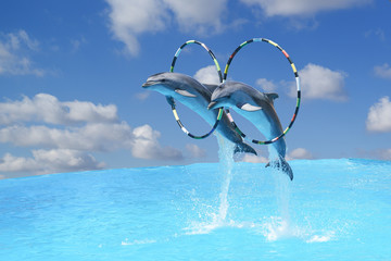 Sautez les deux grands dauphins à gros nez Grand dauphin (lat. Tursiops truncatus) à travers le cerceau au-dessus de l& 39 eau sur fond de ciel bleu
