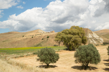 Fototapeta na wymiar Paesaggio siciliano nella zona di Caltanissetta, terreno coltivato, primavera