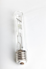 Bulb