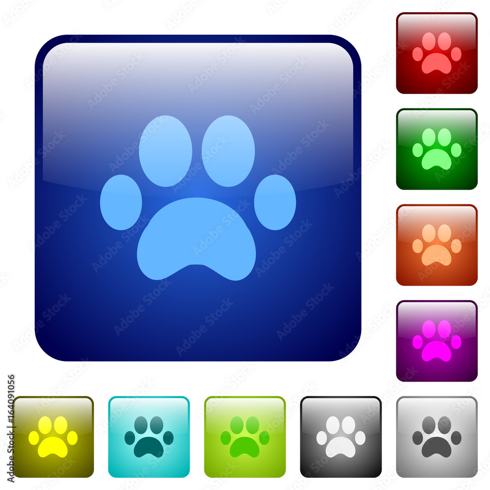 Poster paw prints color square buttons