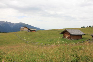 Fototapeta na wymiar Alpe di Rodengo 