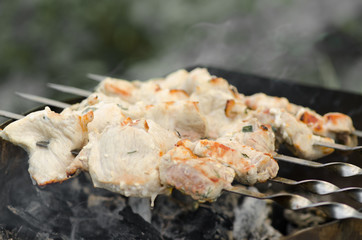 Cooking kebab on the grill
