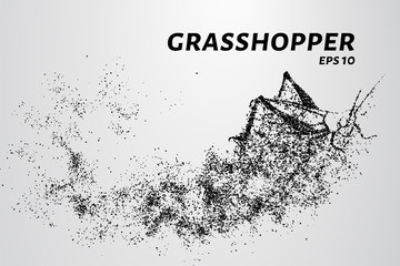 Fototapeta na wymiar Grasshopper of particles. Silhouette grasshopper is of little circles.