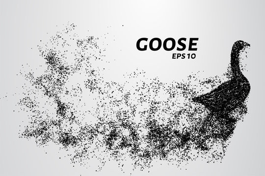 Goose of the particles. Goose consists of circles and points. Vector illustration.