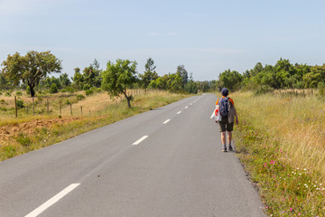 Girl hiking in road with cork trees in Vale Seco, Santiago do Cacem