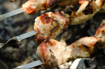 Cooking kebab on the grill
