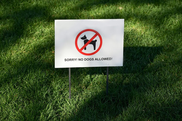 Placard with an inscription - no dogs allowed.