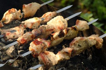 Cooking kebab on the grill