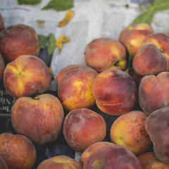 Peaches at the Market