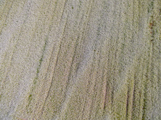 drone image. aerial view of rural area with Buckwheat field