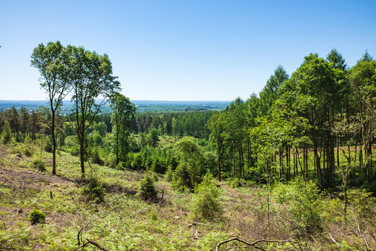 Ausblick mit Fortwirtschaft am Dreil&auml;ndereck Deutschland, Holland, Belgien im Sommer bei Sonnenschein