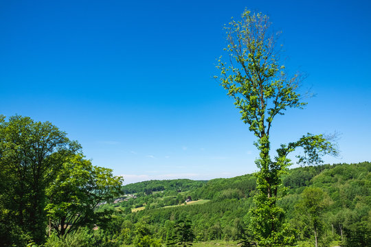 Ausblick mit Fortwirtschaft am Dreil&auml;ndereck Deutschland, Holland, Belgien im Sommer bei Sonnenschein