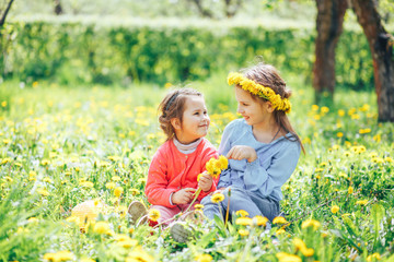 Two cute sisters playing on a green meadow with dandelions. The concept of happy children