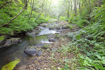 Obraz premium Mountain Stream