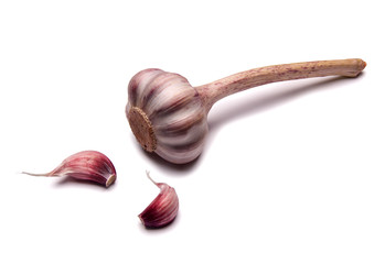garlic isolated on white background