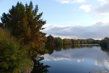 bord de l'Orge, Essonne