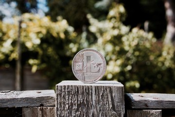 Silver Litecoin coin