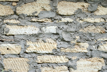 Texture of rock shell