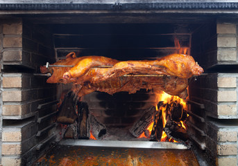 Pig on a barbecue grill