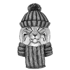 Wild cat Lynx Bobcat Trot wearing knitted hat and scarf