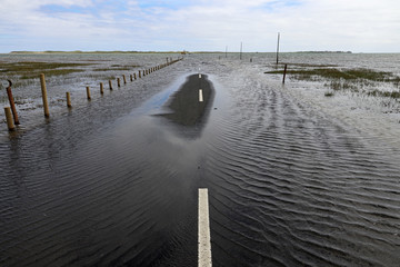 Hochwasser auf einer Straße