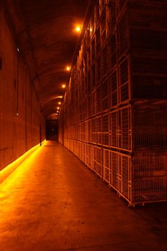 Tunnel de caisses m&eacute;talliques dans un chaie
