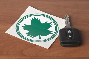 Young driver-green leaf - obrazy, fototapety, plakaty