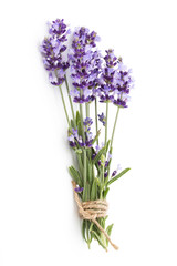 Fototapeta premium Lavender flowers.