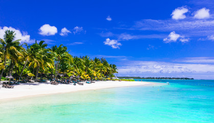 Fototapeta na wymiar Gorgeous tropical white sandy beach with turquoise sea. Mauritius island