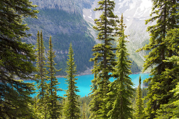 Obrazy na Szkle  Jezioro Moraine, Park Narodowy Banff, Alberta, Kanada