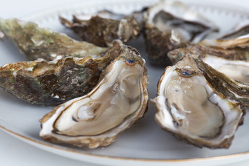 Huîtres