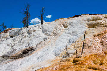 Fototapeta na wymiar Mammoth Hot Springs, Yellowstone National Park, Wyoming