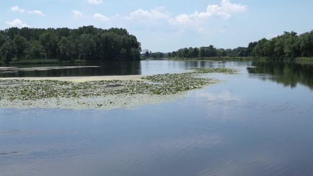 Donau bei Erbach nahe Ulm in Deutschland
