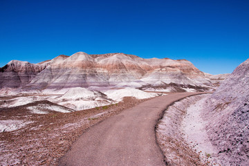 Petrified Forest National Park, Arizona, United States