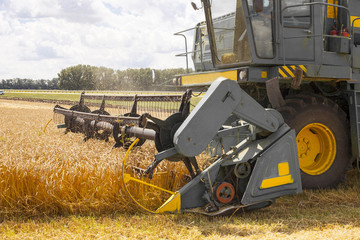 combine harvester working on a wheat field.