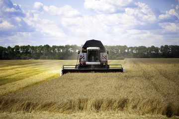 combine harvester working on a wheat field.