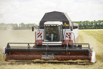 Obraz premium combine harvester working on a wheat field.