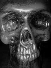 Calavera oscura