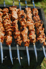 Shish kebab with  mix of spices on bbq